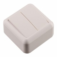 Выключатель для открытой установки двухклавишный 250В, IP20, 10А, А510-380, с монтаж.пластиной белый